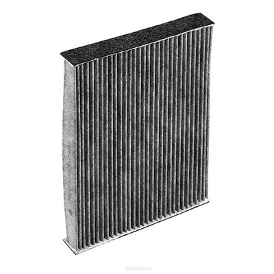 Filter, cabin air (RY-RCA298C)
