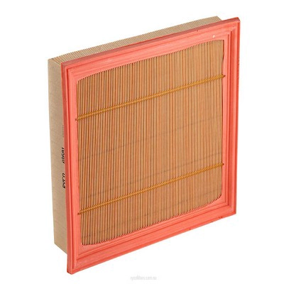 Air Filter (RY-A1681)