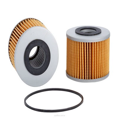 Oil Filter (RY-R2070P)