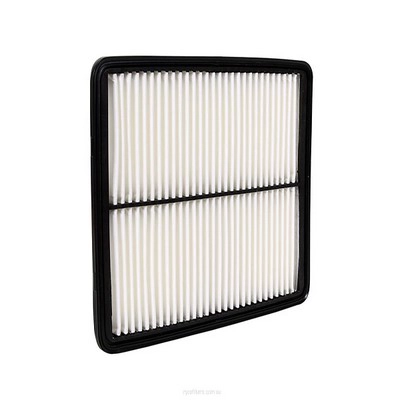 Air Filter (RY-A1808)