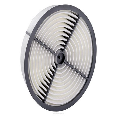 Air Filter (RY-A1733)