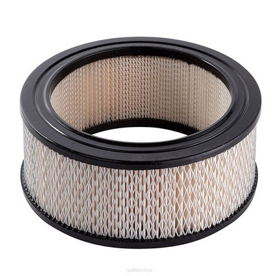 Air Filter (RY-A205)