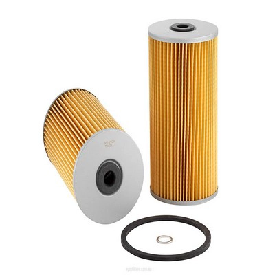 Fuel Filter (RY-R2452P)