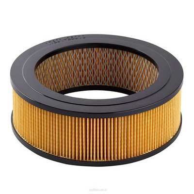 Air Filter (RY-A87A)