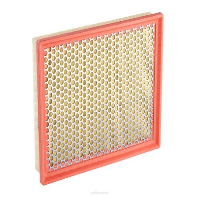 Air Filter (RY-A1707)
