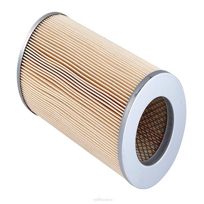 Air Filter (RY-A1437)