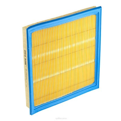 Air Filter (RY-A1581)