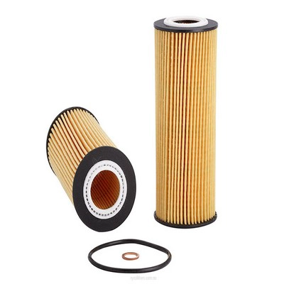 Oil Filter (RY-R2636P)