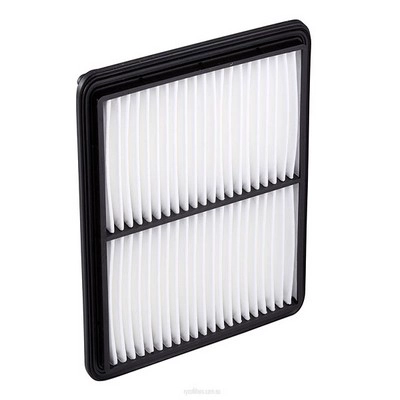 Air Filter (RY-A1353)