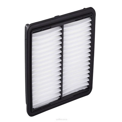Air Filter (RY-A1424)
