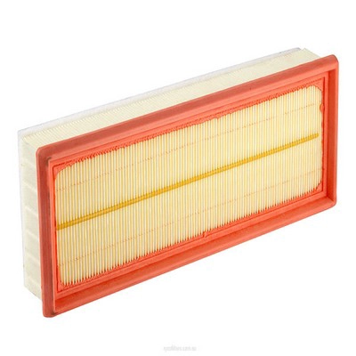 Air Filter (RY-A1687)