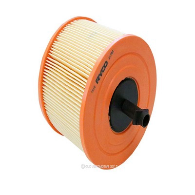 Air Filter (RY-A1762)