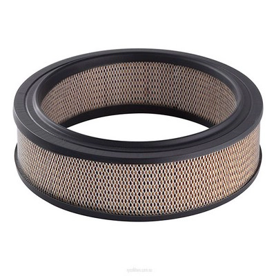 Air Filter (RY-A318)