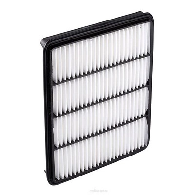 Air Filter (RY-A1634)