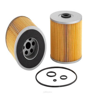 Fuel Filter (RY-R2493P)