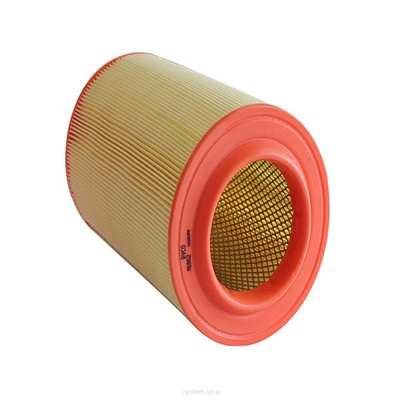Air Filter (RY-A1862)