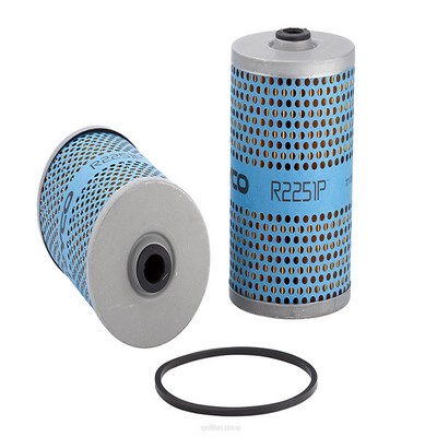 Fuel Filter (RY-R2251P)