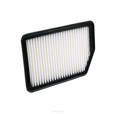 Air Filter (RY-A1793)
