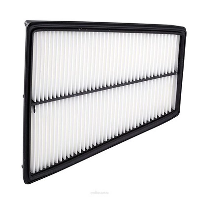 Air Filter (RY-A1737)