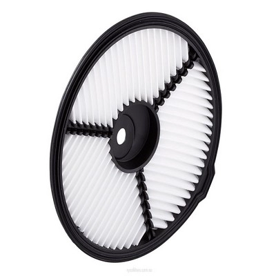 Air Filter (RY-A1240)