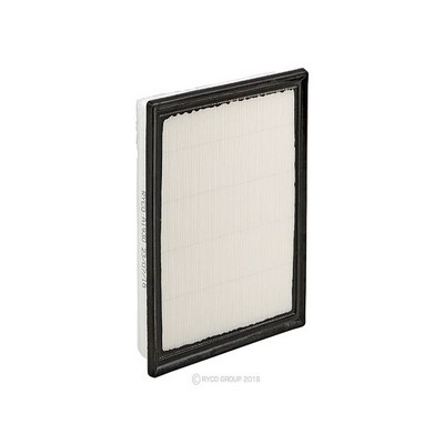 Air Filter (RY-A1930)