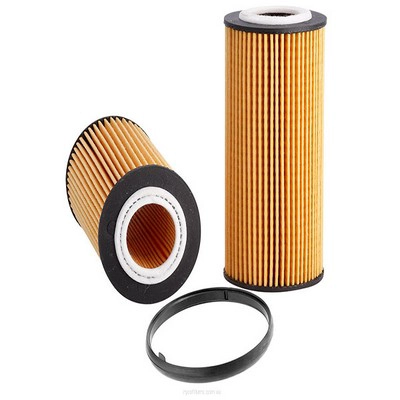 Oil Filter (RY-R2646P)