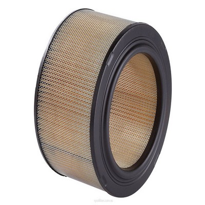 Air Filter (RY-A348)