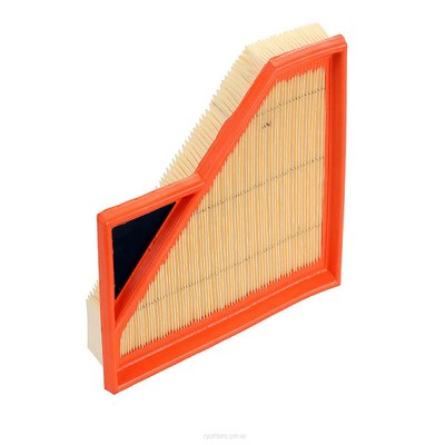 Air Filter (RY-A1819)