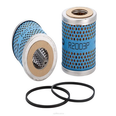 Fuel Filter (RY-R2003P)