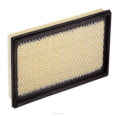 Air Filter (RY-A1435)