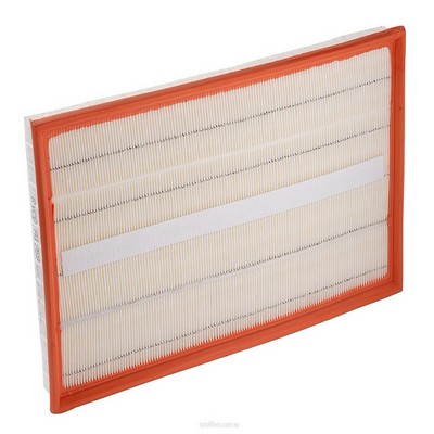 Air Filter (RY-A1759)