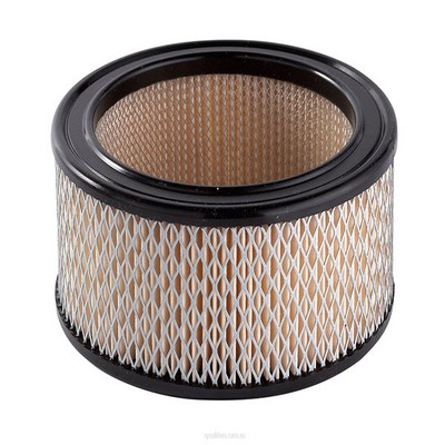 Air Filter (RY-A53)