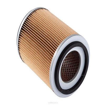 Air Filter (RY-A1227)