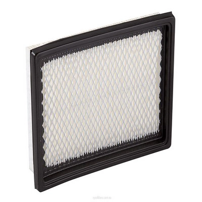 Air Filter (RY-A1272)