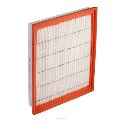 Air Filter (RY-A1760)