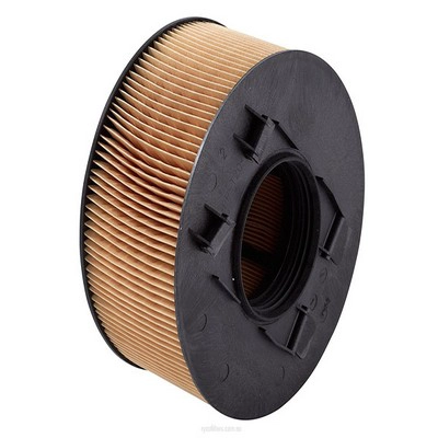 Air Filter (RY-A1648)