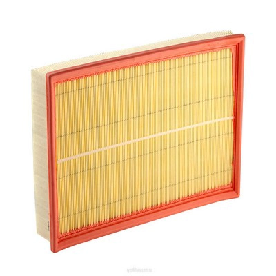 Air Filter (RY-A1720)