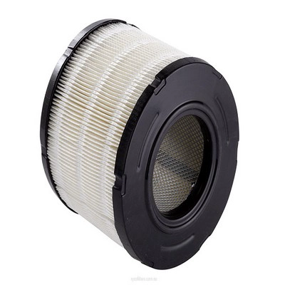 Air Filter (RY-A1504)
