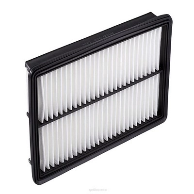Air Filter (RY-A1636)