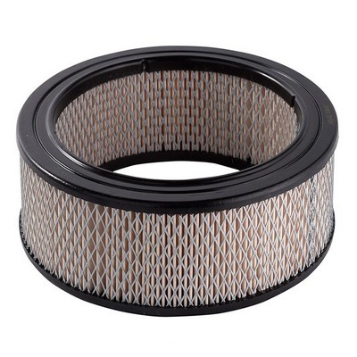 Air Filter (RY-A31)