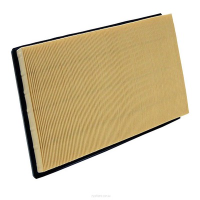 Air Filter (RY-A1833)