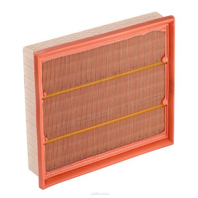 Air Filter (RY-A1743)