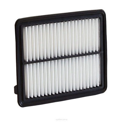 Air Filter (RY-A1869)
