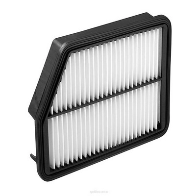 Air Filter (RY-A1727)