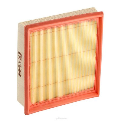Air Filter (RY-A1655)