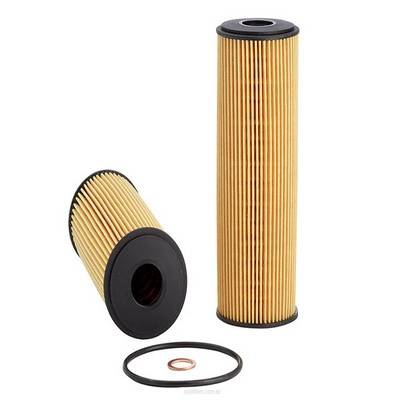 Oil Filter (RY-R2596P)