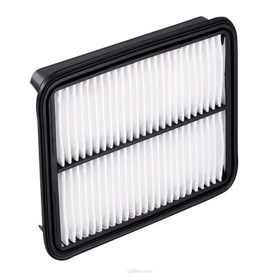 Air Filter (RY-A454)