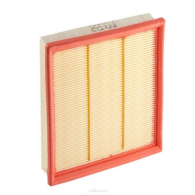 Air Filter (RY-A1674)
