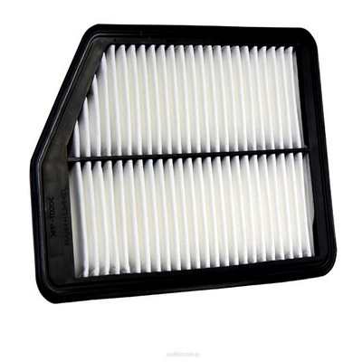 Air Filter (RY-A1774)