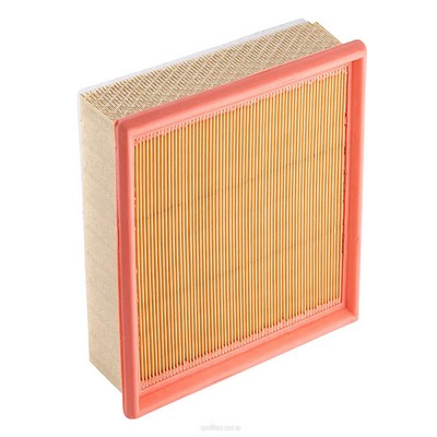 Air Filter (RY-A1683)